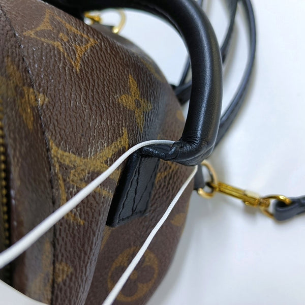 PALM SPRINGS Mini Monogram Coated Canvas Brown