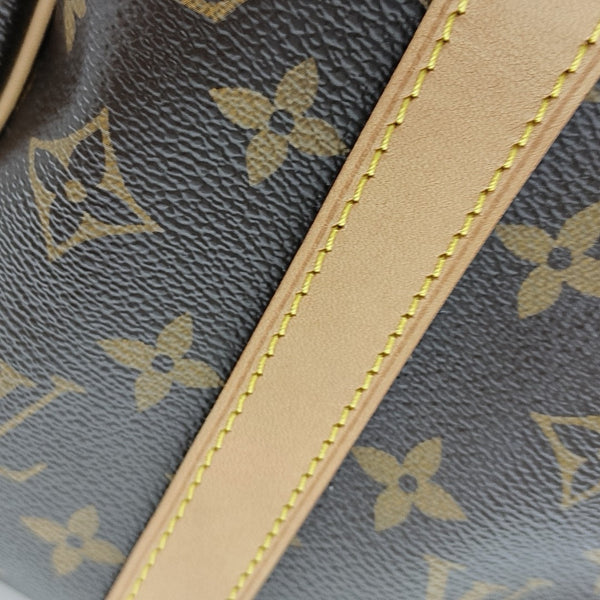SPEEDY 25 Monogram Coated Canvas Brown