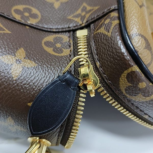 VANITY PM Monogram Coated Canvas Brown