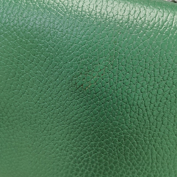Dionysus Mini Calfskin Green
