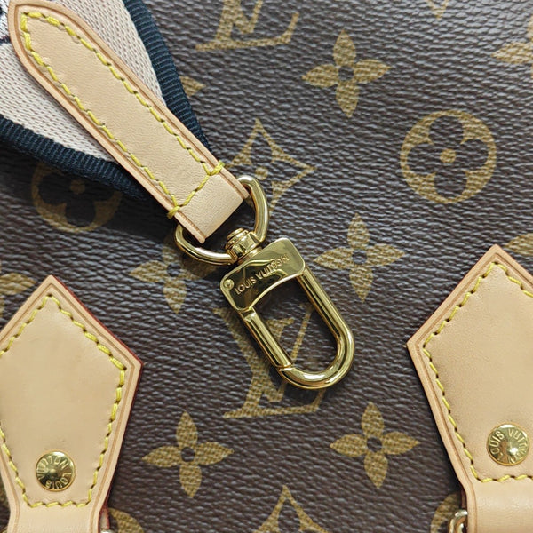 SPEEDY 20 Monogram Coated Canvas Brown