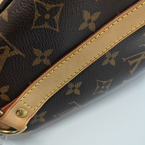 SPEEDY 25 Monogram Coated Canvas Brown