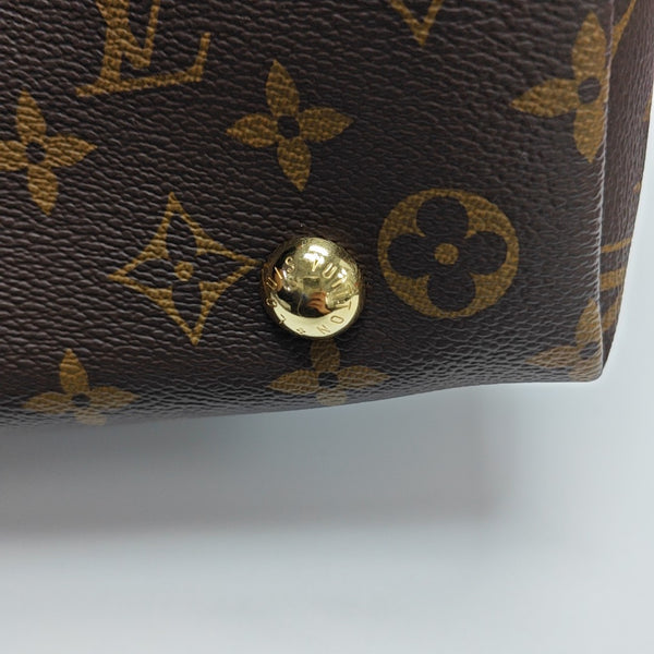 CARRYALL PM Monogram Coated Canvas Brown