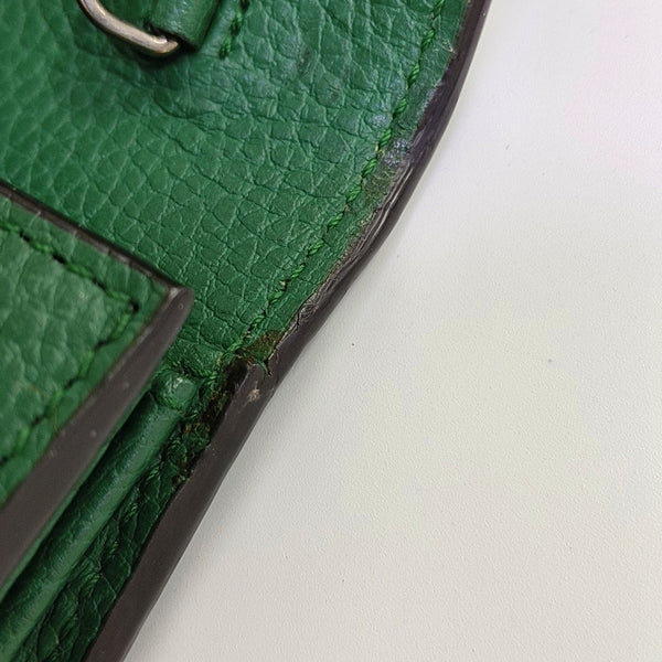 Dionysus Mini Calfskin Green