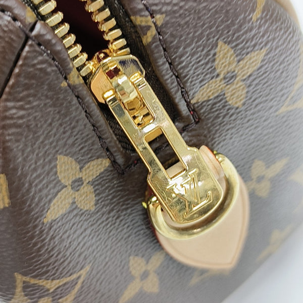 SPEEDY 20 Monogram Coated Canvas Brown