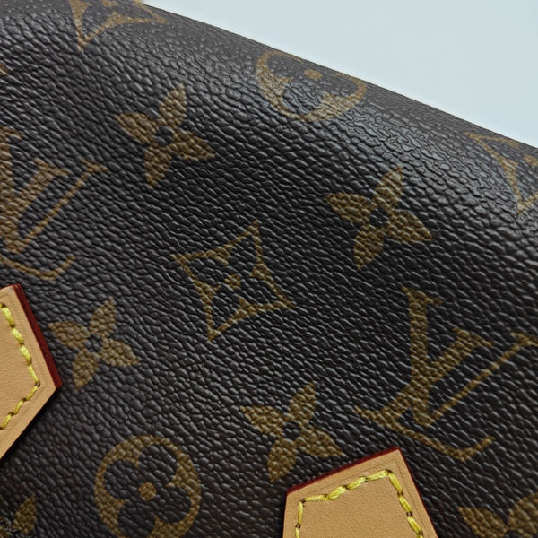 SPEEDY Nano Monogram Coated Canvas Brown