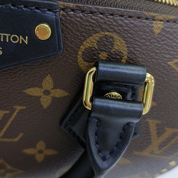 SPEEDY TRUNK 20 Monogram Coated Canvas Brown
