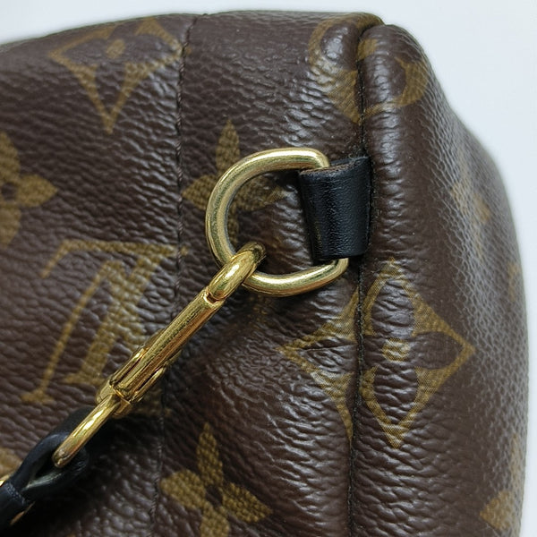 PALM SPRINGS Mini Monogram Coated Canvas Brown