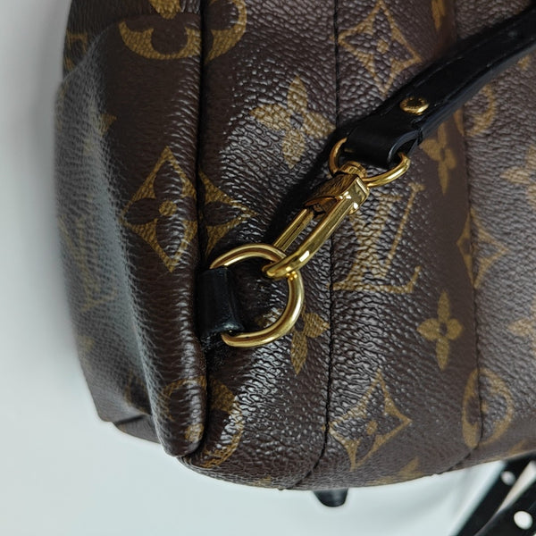 PALM SPRINGS Mini Monogram Coated Canvas Brown