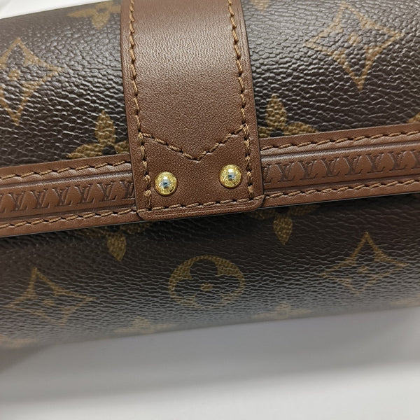 PAPILLON 19 Monogram Coated Canvas Brown
