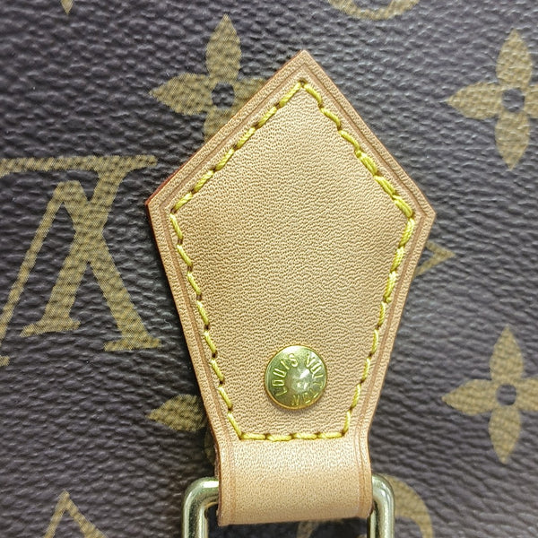 SPEEDY 25 Monogram Coated Canvas Brown