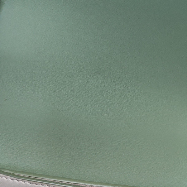 Goya Small Calfskin Green