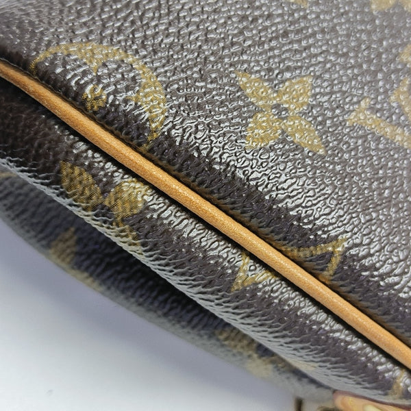 EVA Monogram Coated Canvas Brown