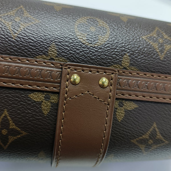 PAPILLON 19 Monogram Coated Canvas Brown