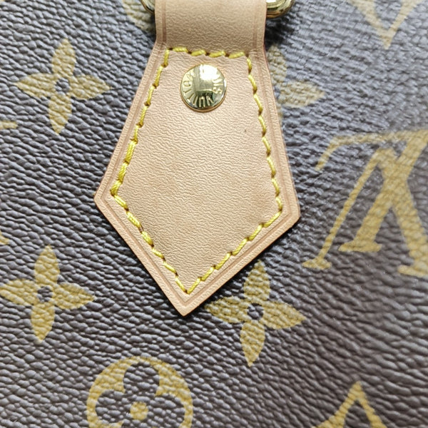 SPEEDY 20 Monogram Coated Canvas Brown