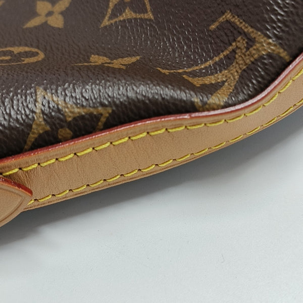 CARRYALL PM Monogram Coated Canvas Brown