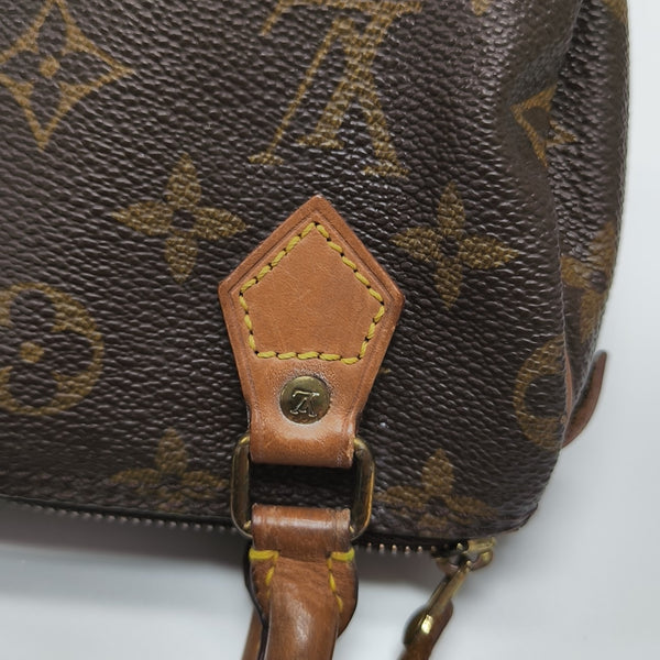 SPEEDY Nano Monogram Coated Canvas Brown