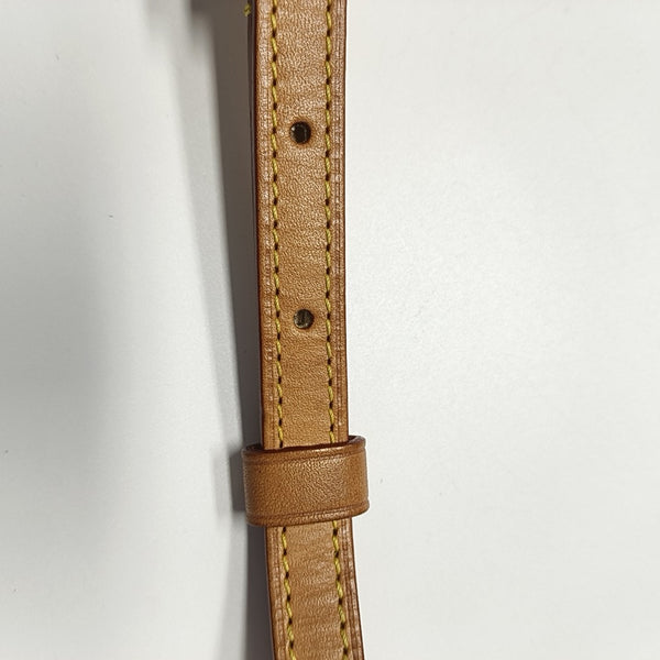 ELLIPSE Monogram Coated Canvas Brown