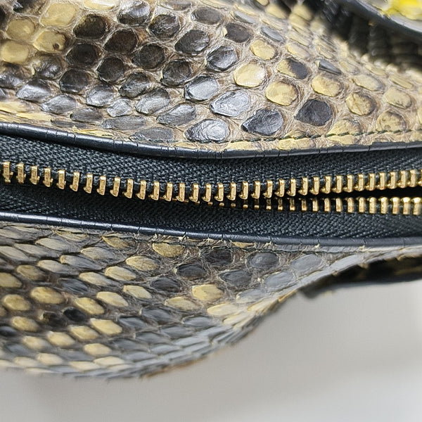 Animals Python Multicolor