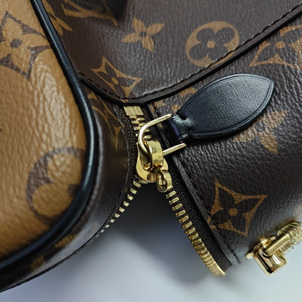VANITY PM Monogram Coated Canvas Brown