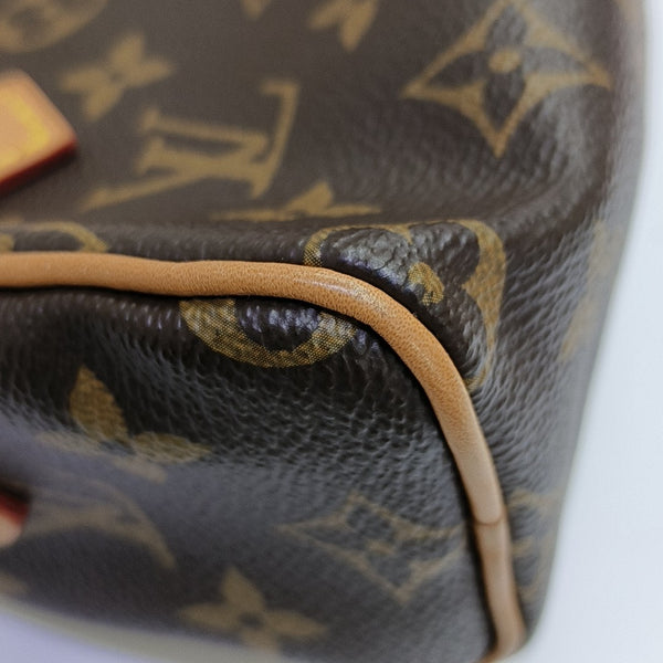 SPEEDY Nano Monogram Coated Canvas Brown