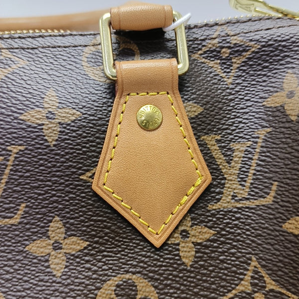 Speedy 25 Lona revestida Monogram marrón