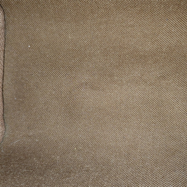 SPEEDY Nano Monogram Coated Canvas Brown