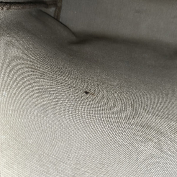 GG Supreme Monogram Coated Canvas Beige