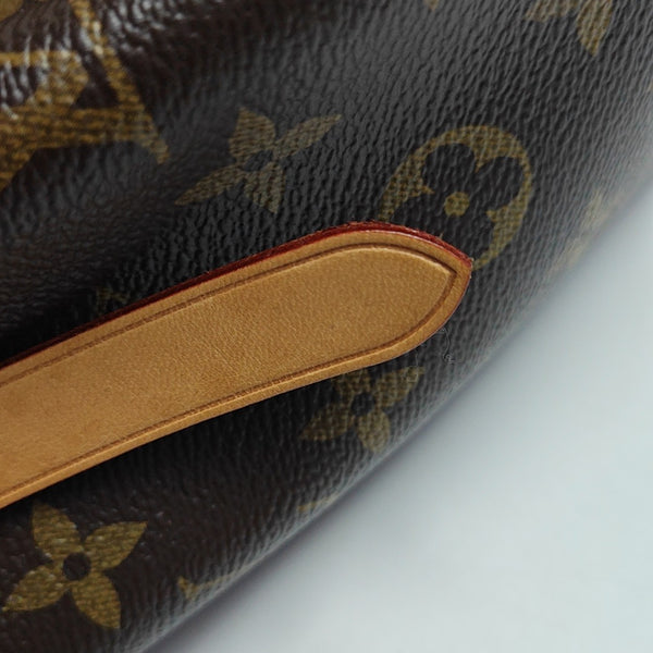 MONTAIGNE Monogram Coated Canvas Brown