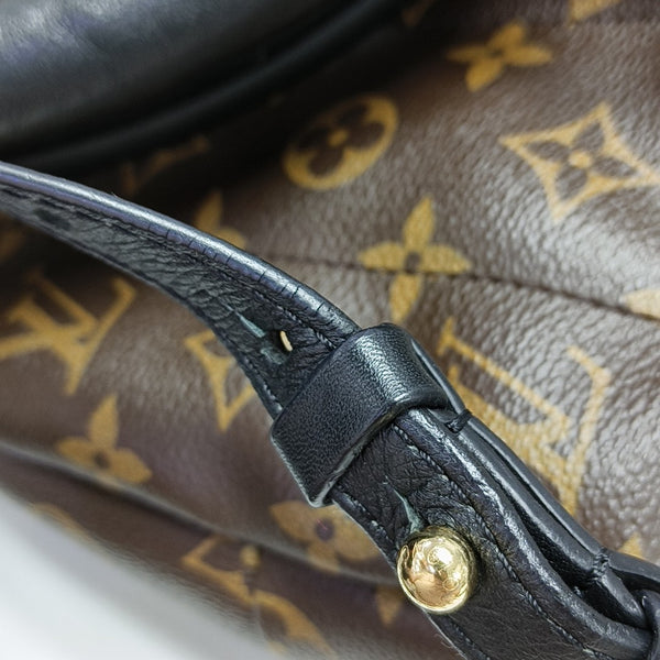 PALM SPRINGS MM Monogram Coated Canvas Brown