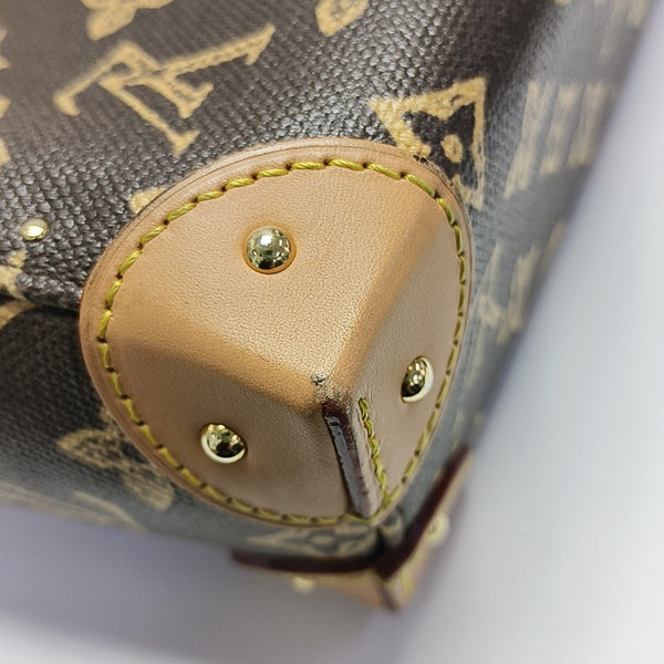 NOÉ TRUNK Monogram Coated Canvas Brown