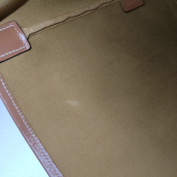 TRIOMPHE CANVAS Medium Coated Canvas Brown