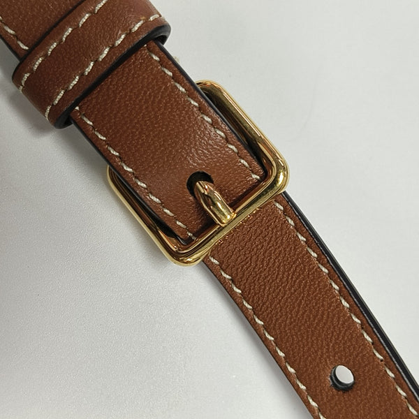 TRIOMPHE ROUND Mini Coated Canvas Brown