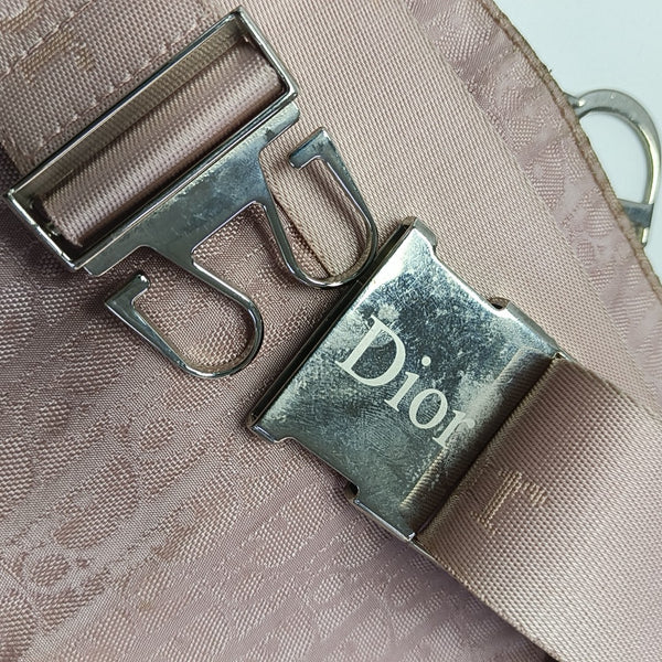 Oblique Canvas Belt Bag Pink