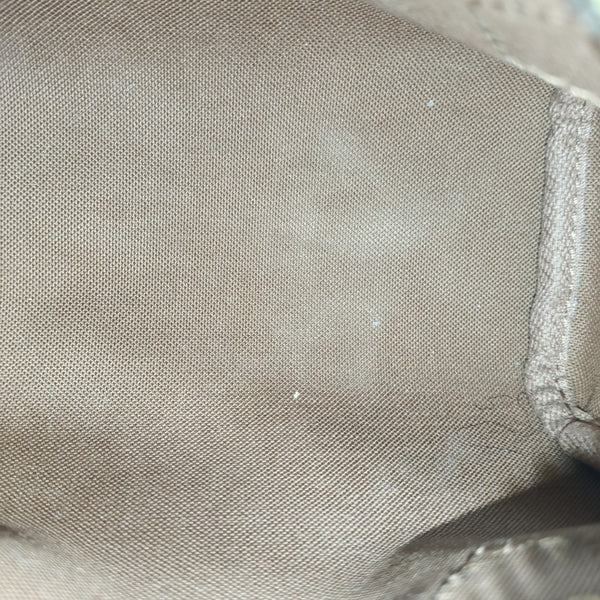 SPEEDY Nano Monogram Coated Canvas Brown