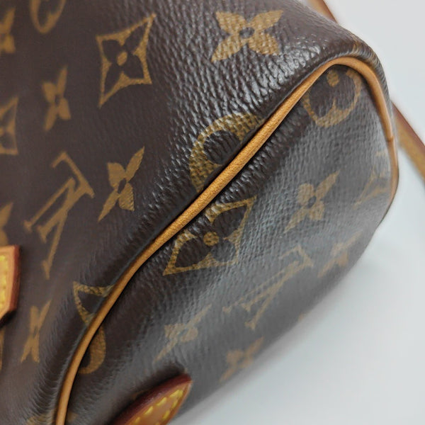 SPEEDY Nano Monogram Coated Canvas Brown