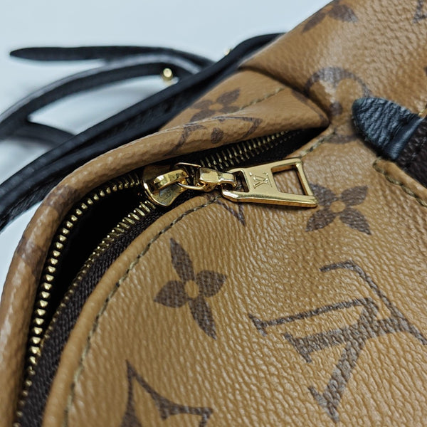 PALM SPRINGS Mini Monogram Coated Canvas Brown