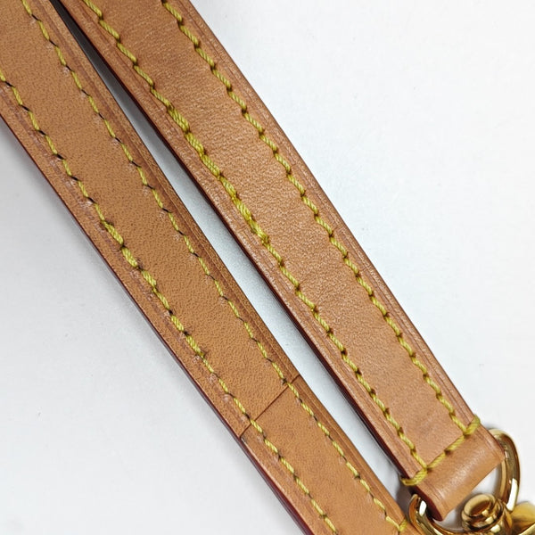 SPEEDY Nano Monogram Coated Canvas Brown