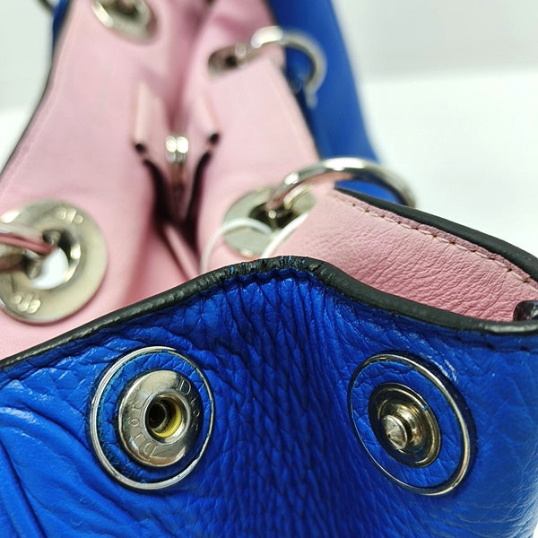 Authenticated pre-owned Diorissimo Calfskin Blue - Tote Bag at Looply