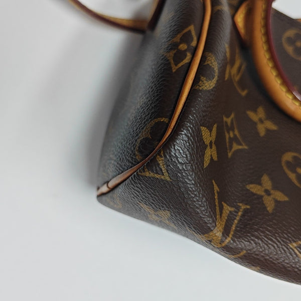 SPEEDY Nano Monogram Coated Canvas Brown