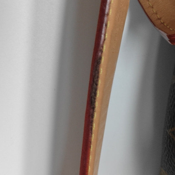 SIDE TRUNK PM Monogram Coated Canvas Brown