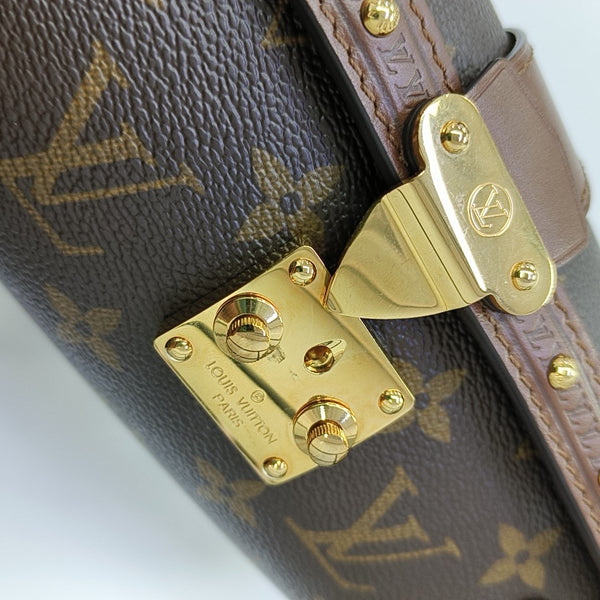 PAPILLON 19 Monogram Coated Canvas Brown