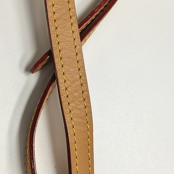 SPEEDY Nano Monogram Coated Canvas Brown