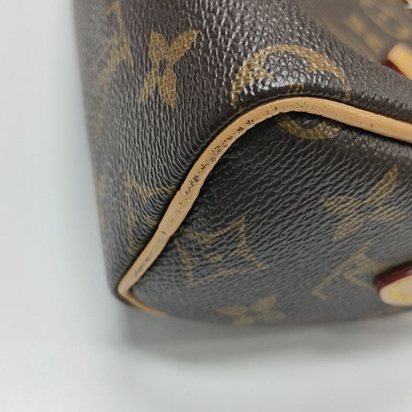 SPEEDY Nano Monogram Coated Canvas Brown