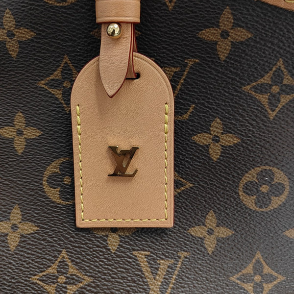 CARRYALL PM Monogram Coated Canvas Brown