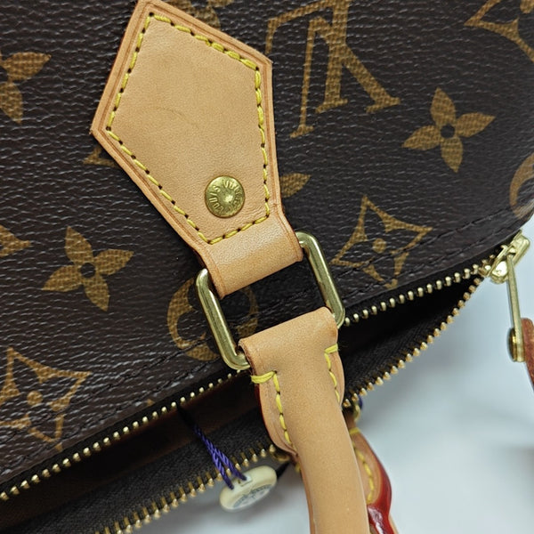 SPEEDY 25 Monogram Coated Canvas Brown