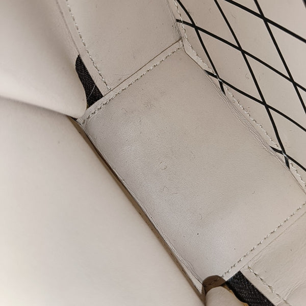 BOITE CHAPEAU Mini Monogram Coated Canvas Brown