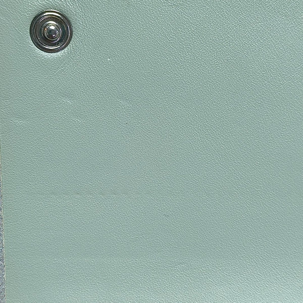 Calfskin Blue