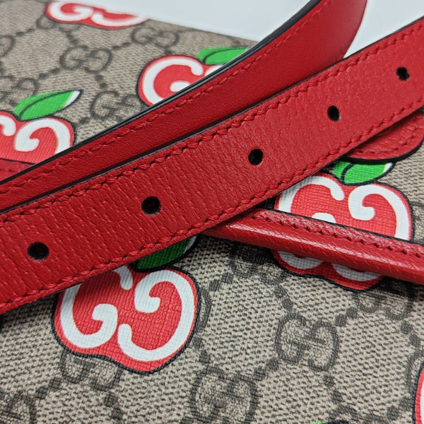 Neo Vintage Monogram Coated Canvas Red