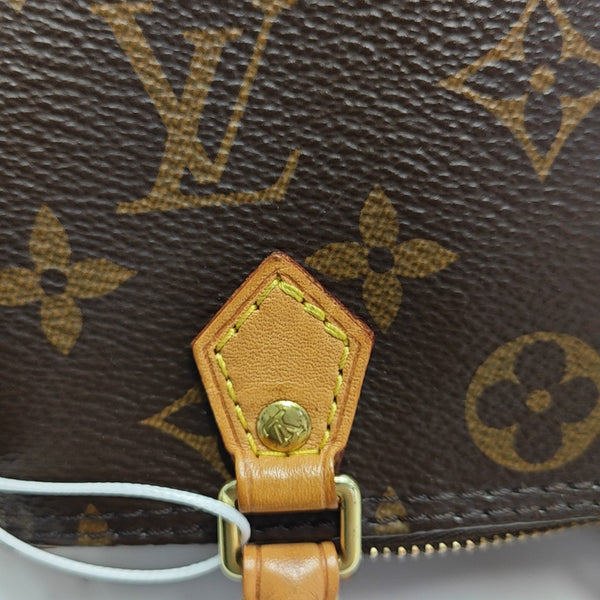 SPEEDY Nano Monogram Coated Canvas Brown